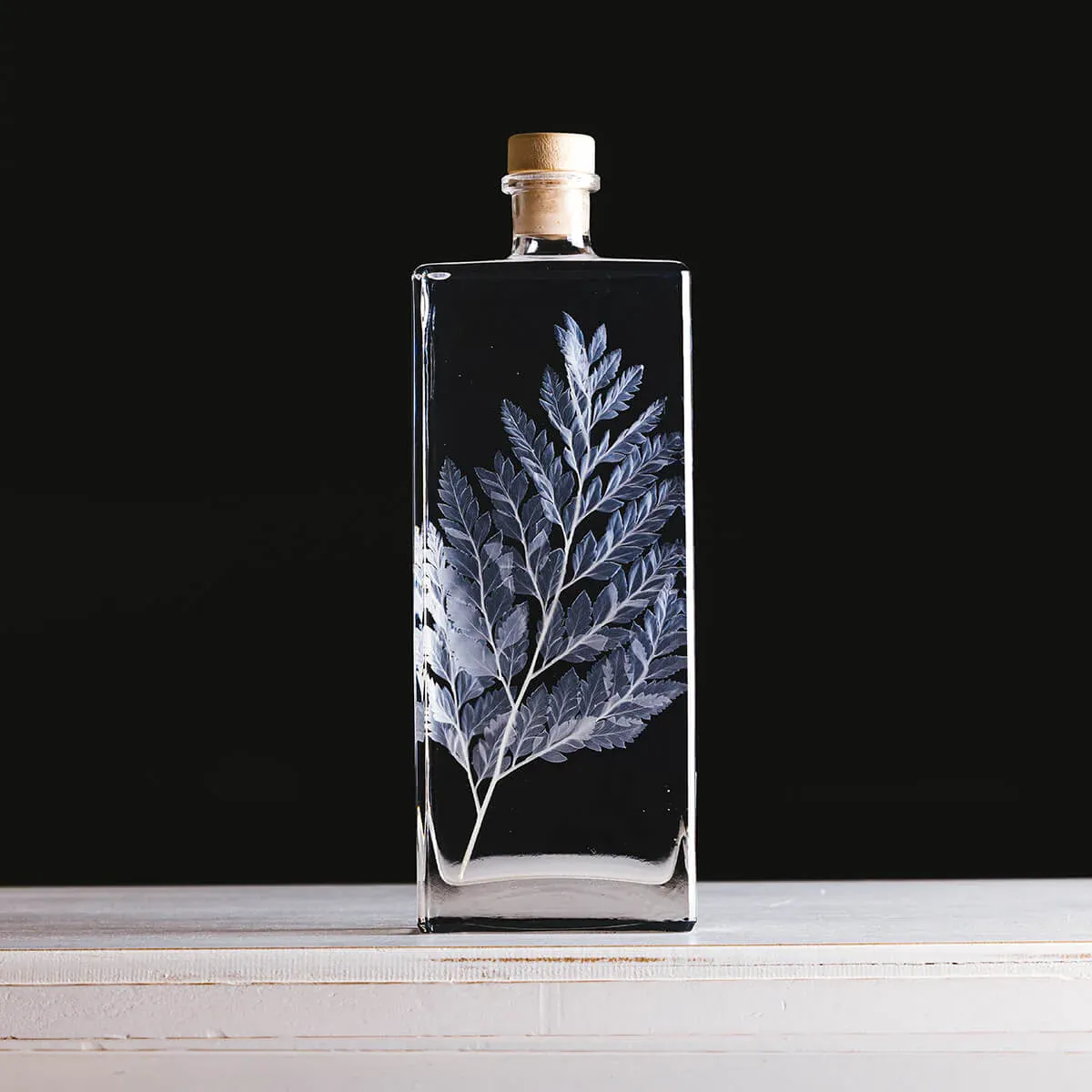 L'Herbarium de Théophile – Fougère cuir blanche – Plante immergée – Image 7